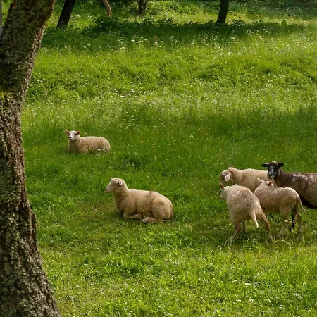 Affittacamere U Bečvy