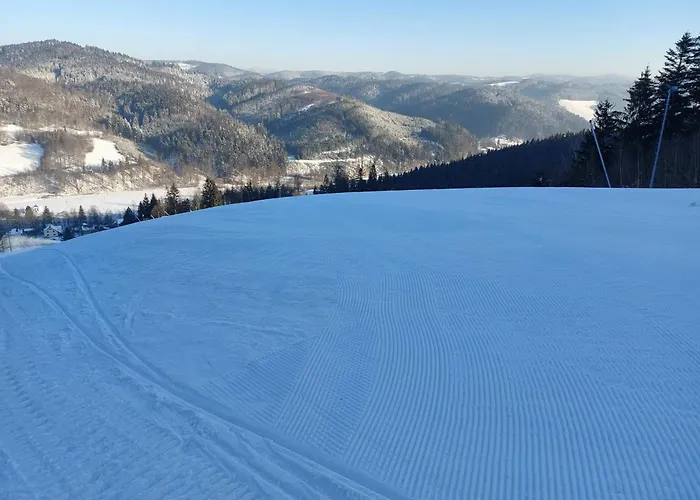 U Bečvy Penzion 3*