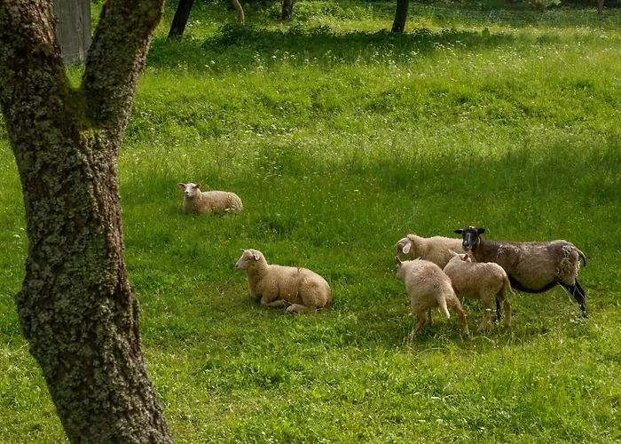 Penzion U Bečvy
